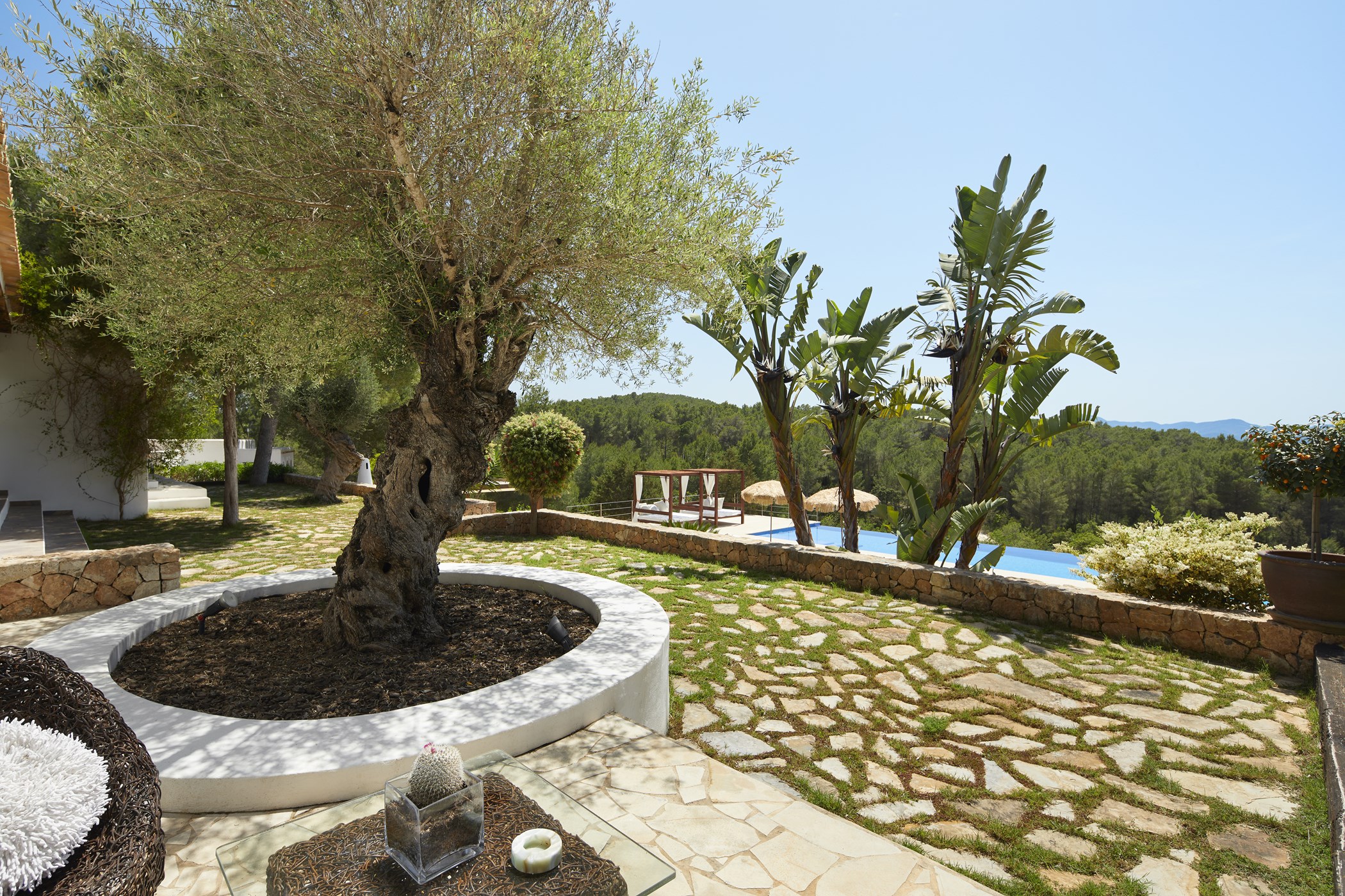Villa Petunia-photo-18